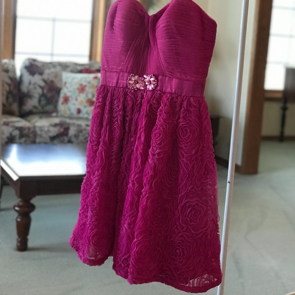 Anthropologie Dress